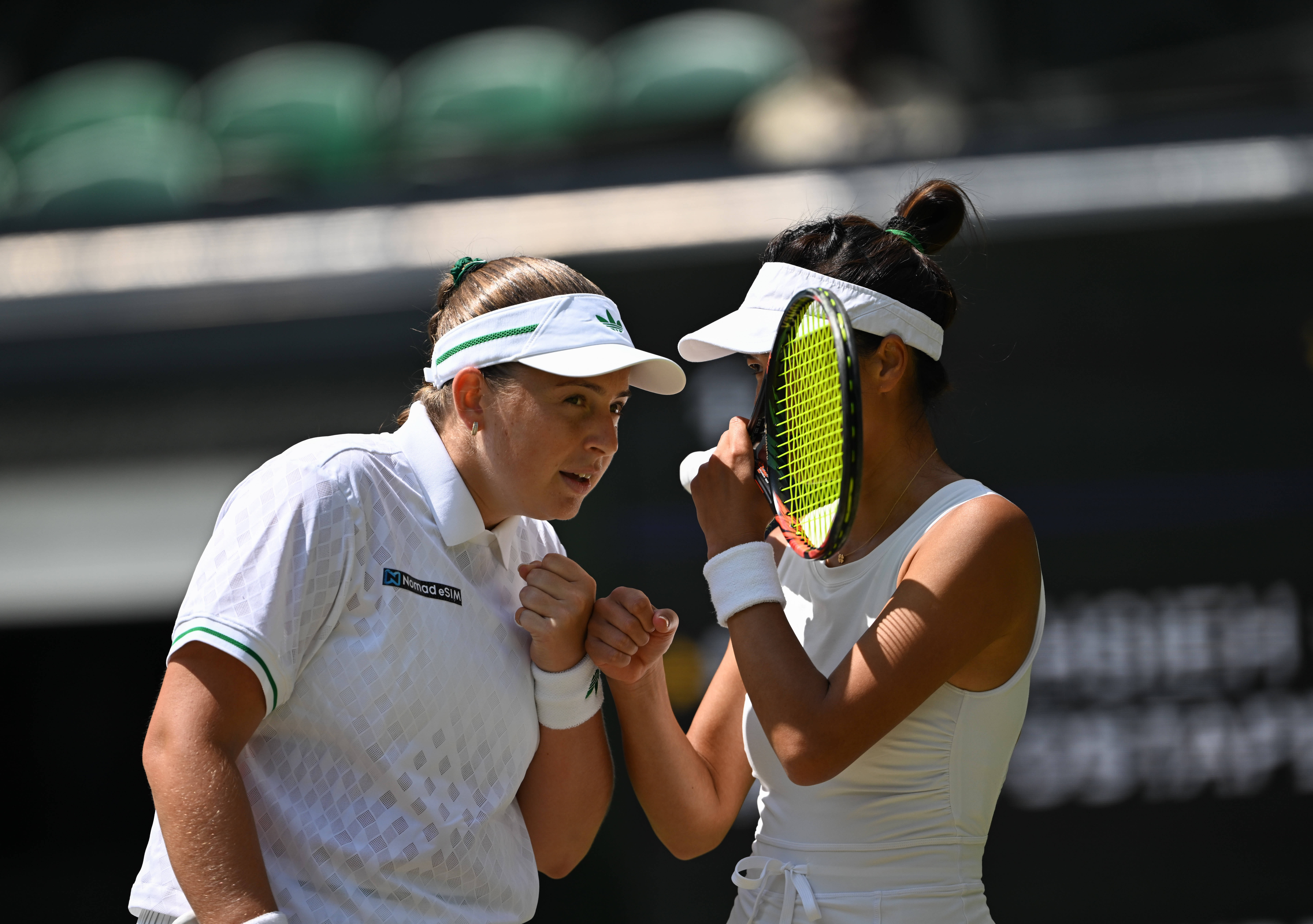 温网完胜戴维斯杯，蒂姆状态火热