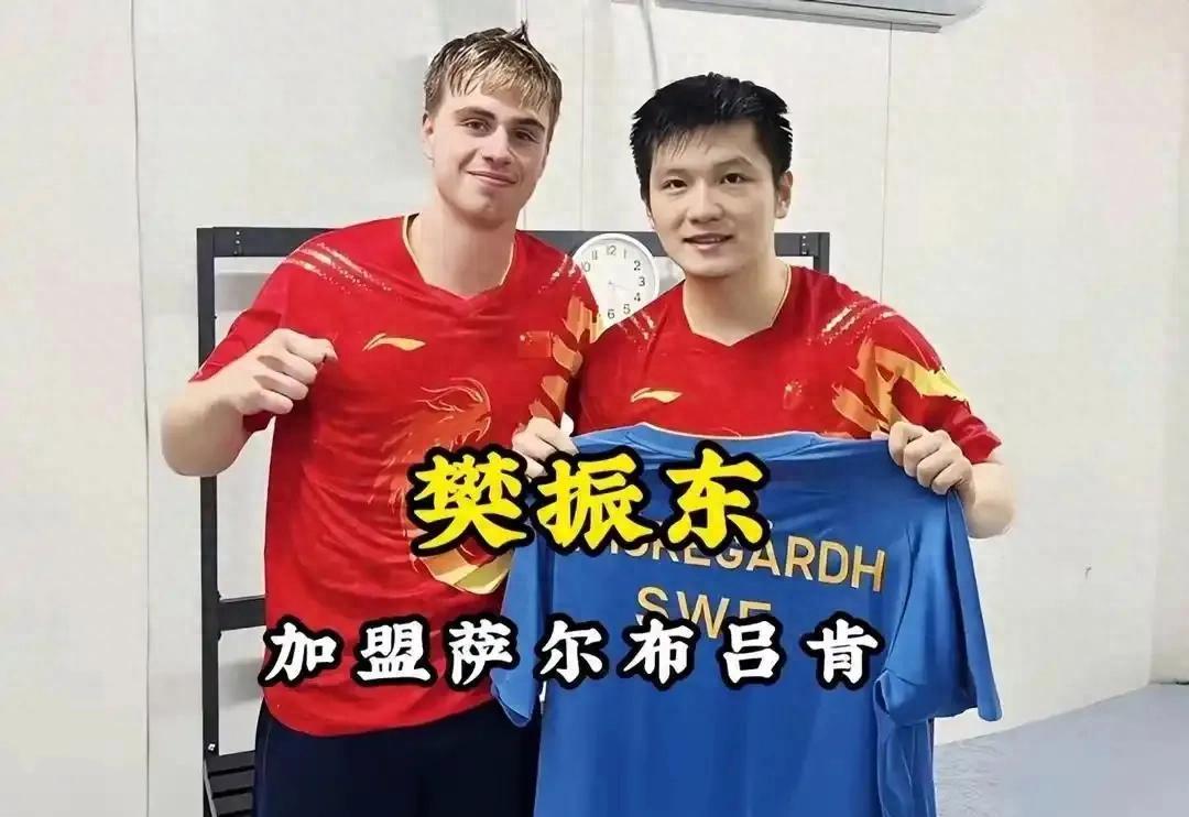 德国队翻盘英格兰队，樊振东统治全场