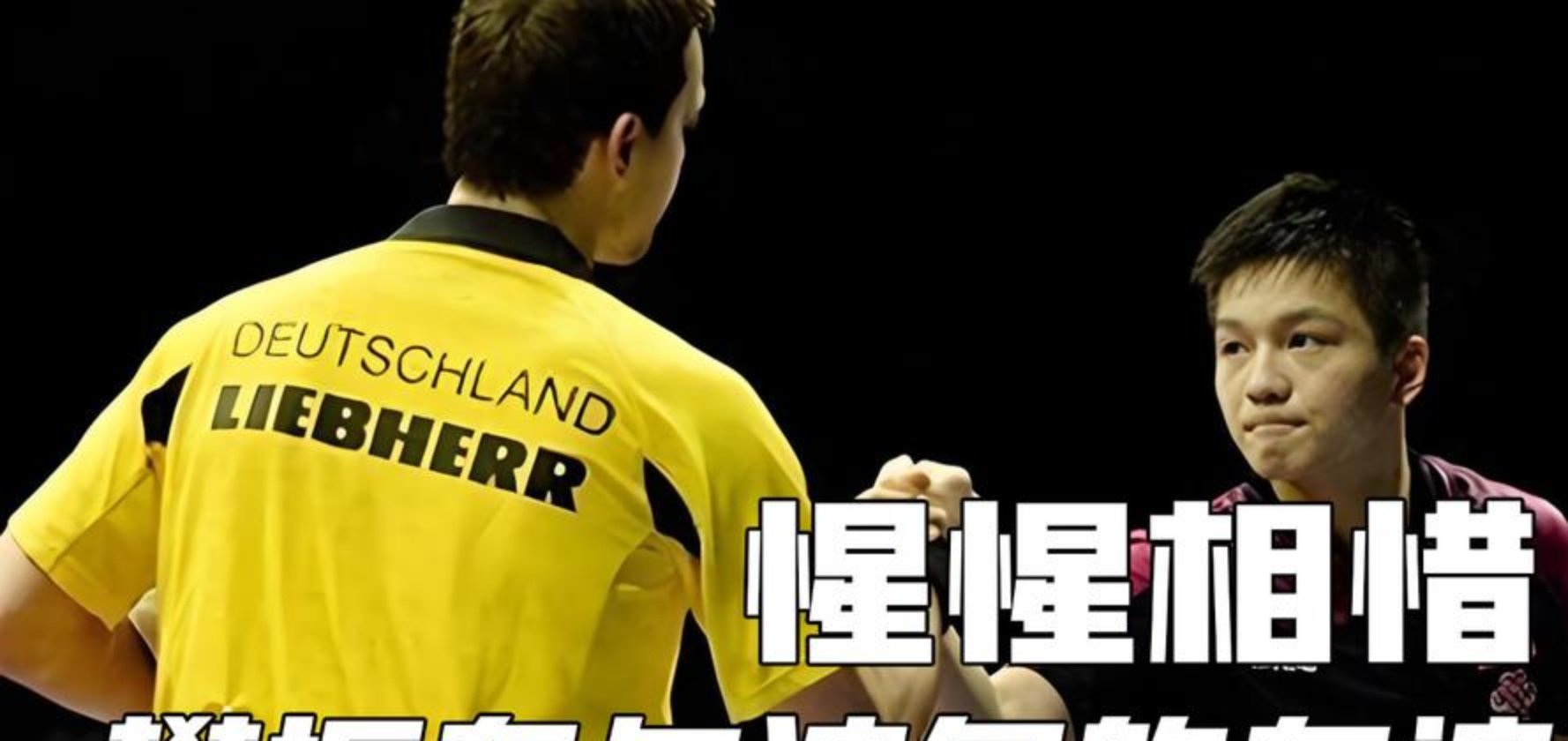 德国队碾压瑞典队，樊振东刷新纪录