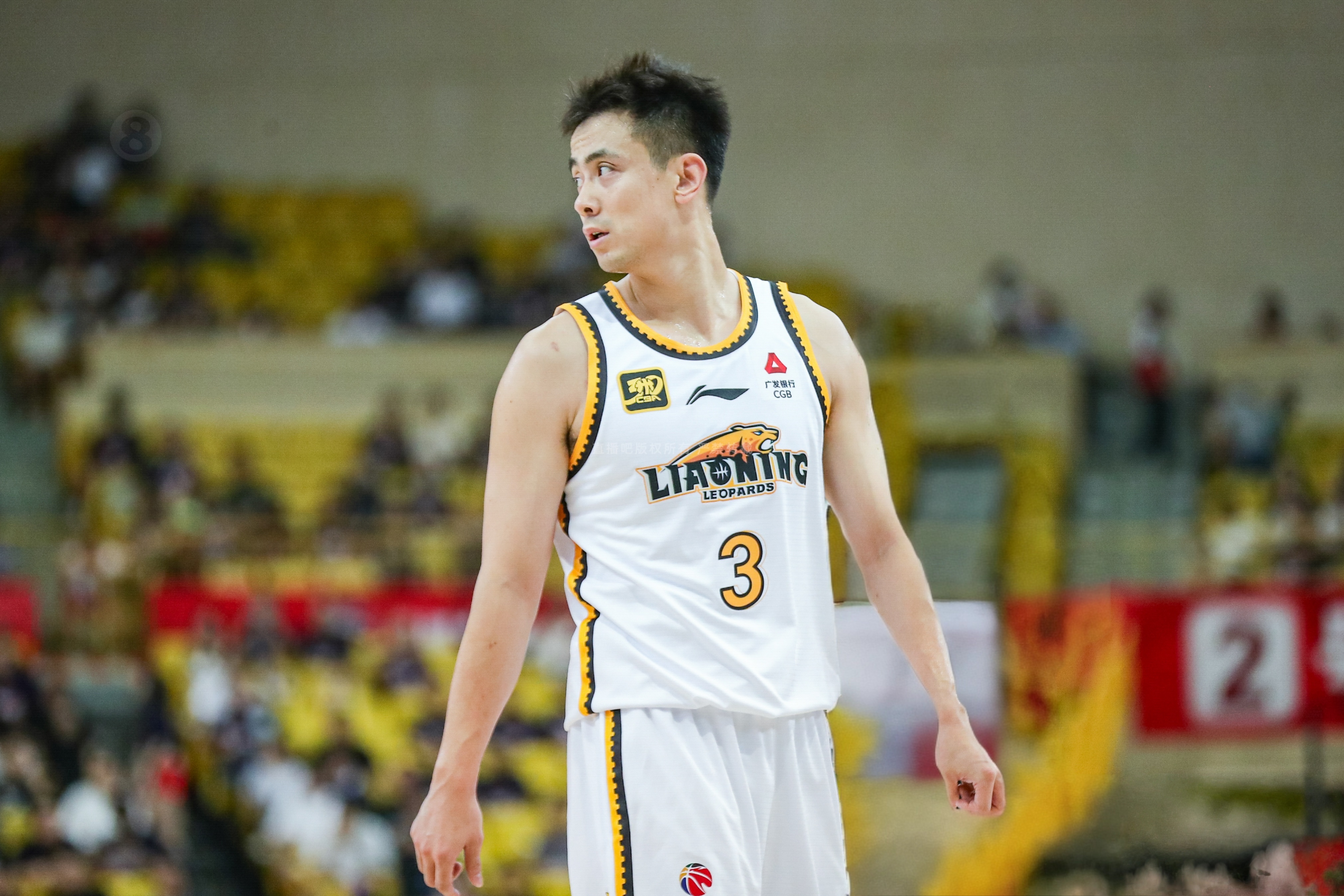 公牛绝杀新疆队，赵继伟状态火热