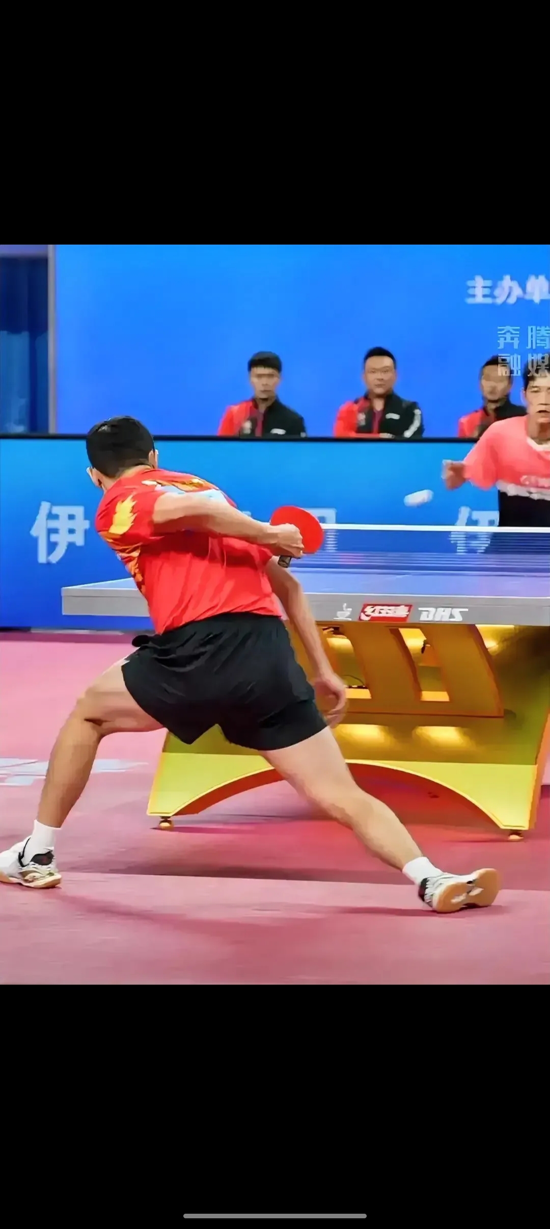 德国队力克波兰队，许昕点燃赛场