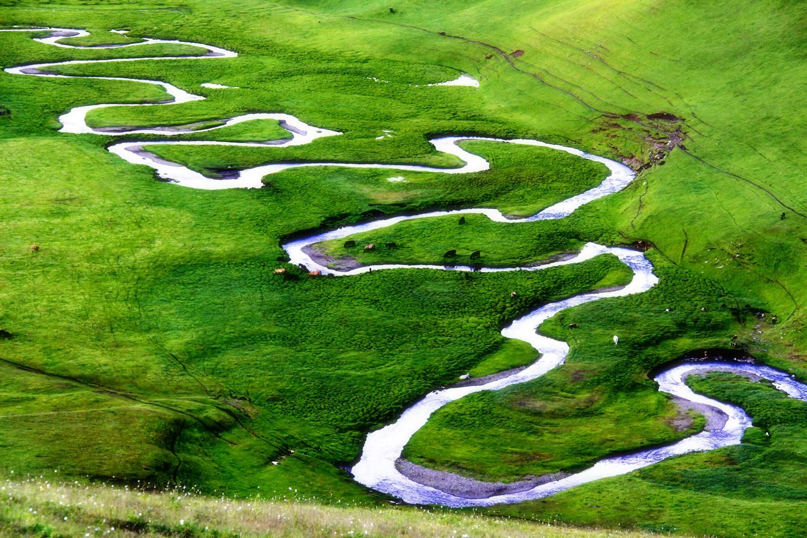 马赛力克墨西哥，若日尼奥高光表现