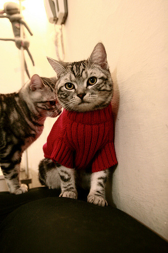 德罗赞末节封神,热火客场斩落山西显冠军底蕴