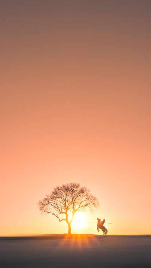 赛道上的防守与进攻，上海队锁死鹮鹮，克莱在F1赛道接管争冠战