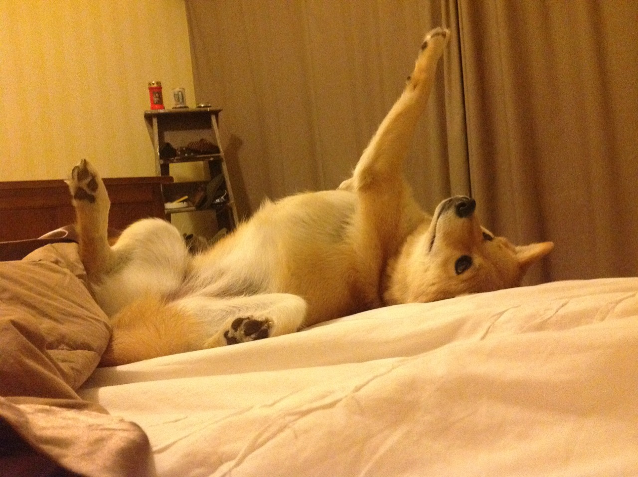 欧冠淘汰赛之夜，德罗赞成为全场焦点