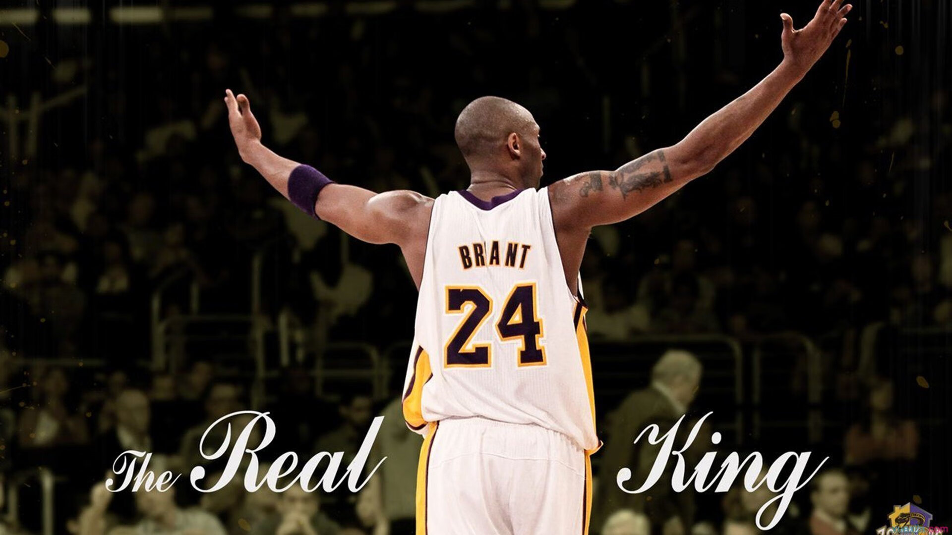 文班亚马的证明之战，压力下的巨星觉醒